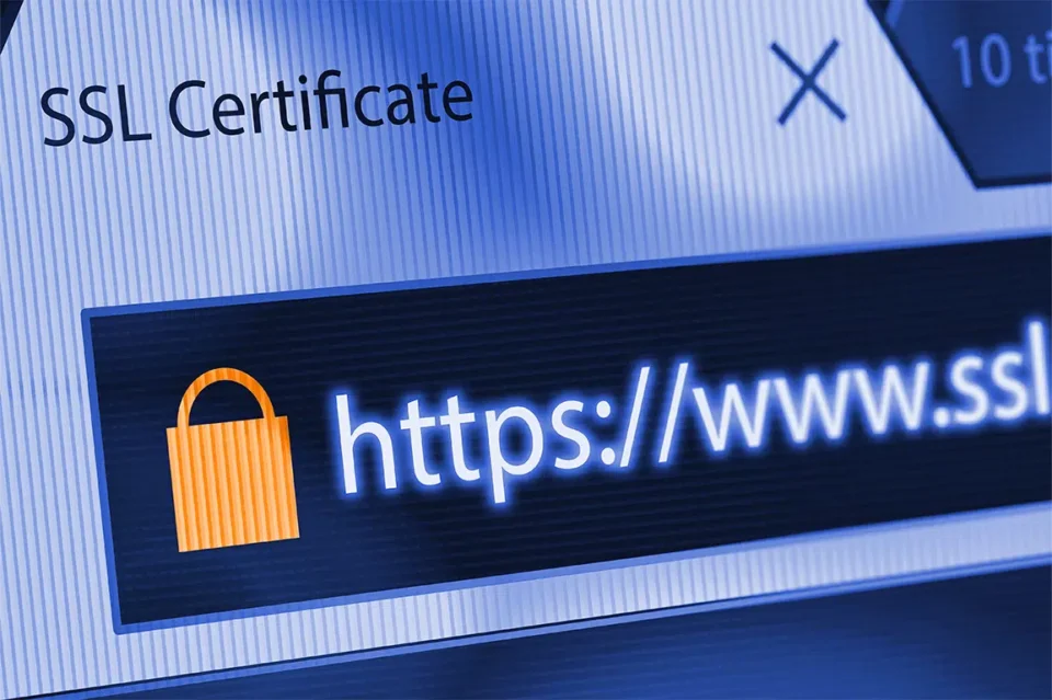 Pestaña de un navegador mostrando que el sitio web es seguro por tener certificado SSL.