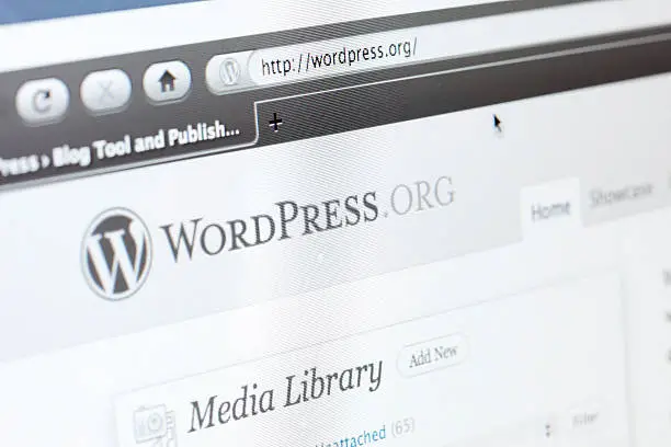 Hosting wordpress; una pantalla web.